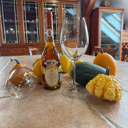 Pannon Tokaj Vendeghaz Lejlighed *
